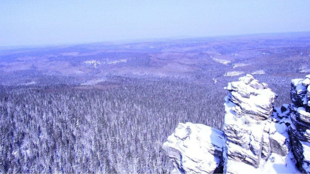 Источник https://www.e1.ru/html-to-img/og/XG0wgmzv_nKJeA9N0Y4RZA/article-id6863308-16x9.jpg?1772186014