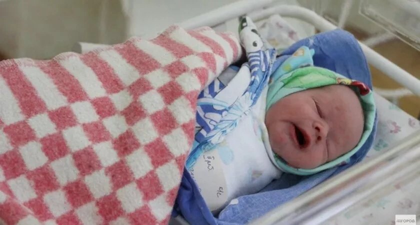    Фото prochepetsk.ru