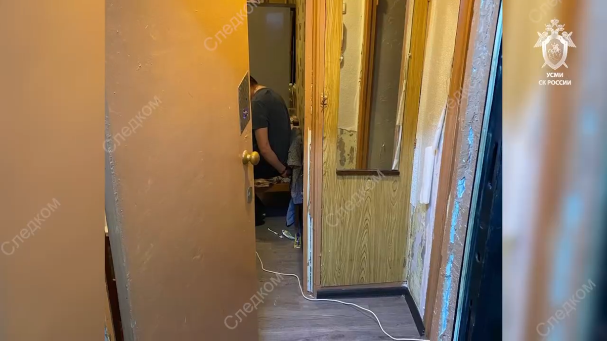    Похищение девочки в Смоленске