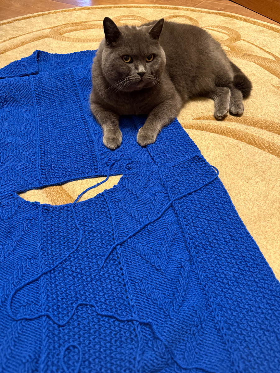 Главный помогатор