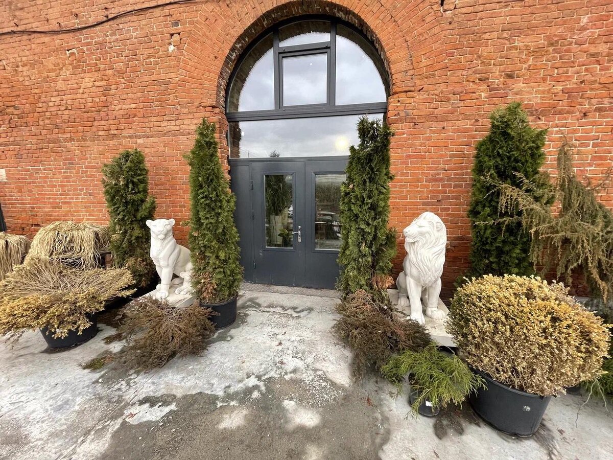 Львица и львёнок и Дворцовый лев