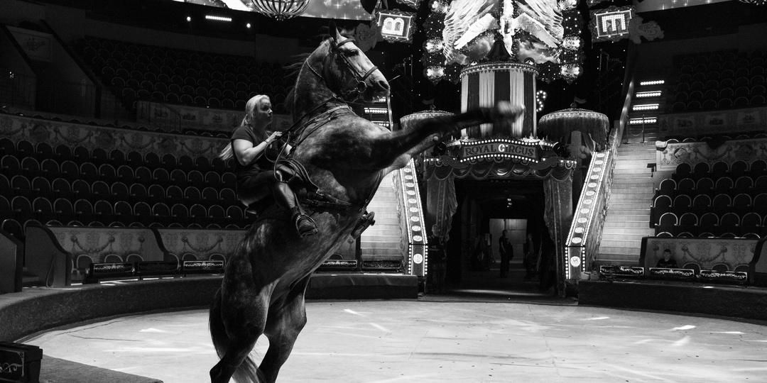 Каково это, работать в цирке: жить в бесконечных переездах, ютиться в тесных гостиницах, видеться с родными и близкими по видеосвязи?