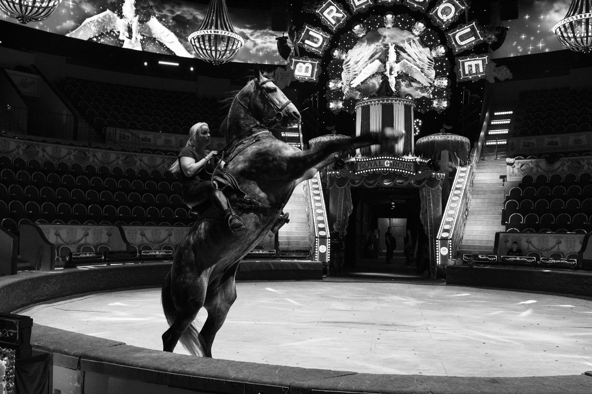 Фото: Екатерина Липецкая