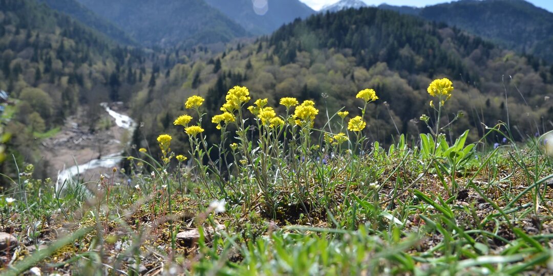 ТОП-17 лучших туров из Краснодара в Грозный в 2026 году