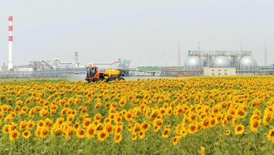    Автор фото: пресс-служба "ФосАгро"
