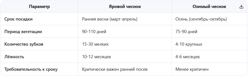 Ключевые отличия ярового от озимого чеснока