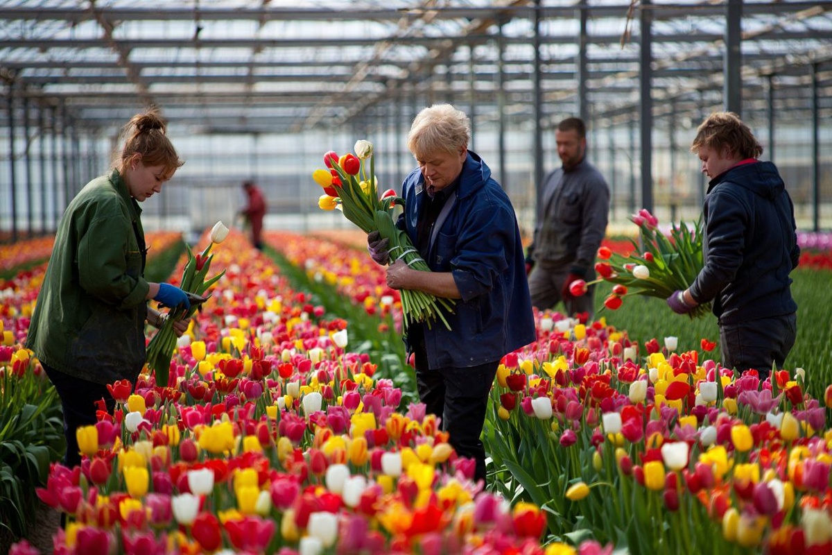 Фото: freepik / нейросеть reve