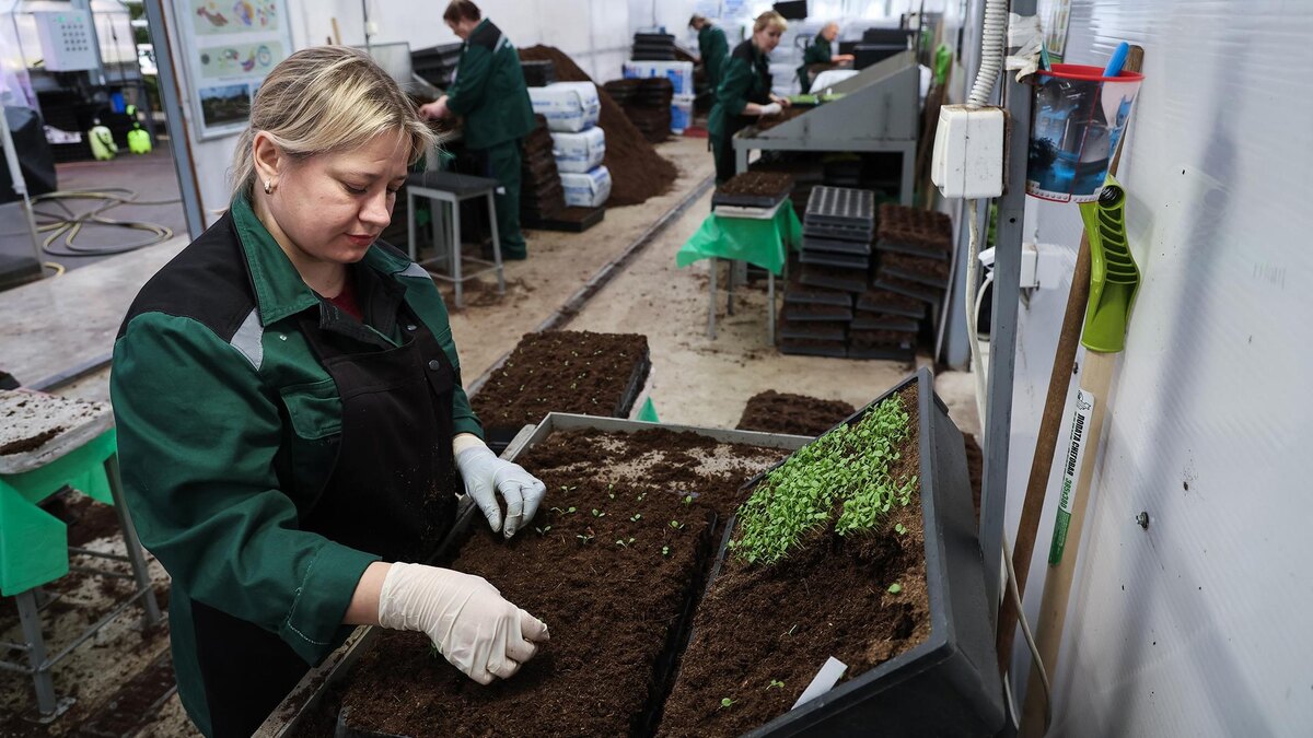    Фото: vk.com/petrichenkosn