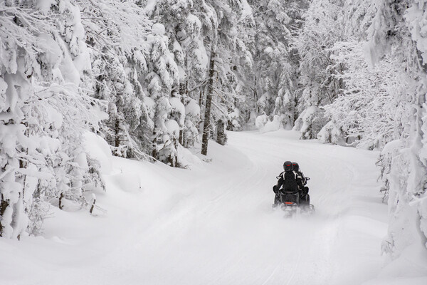 Martin Poirier/Shutterstock/FOTODOM   📷