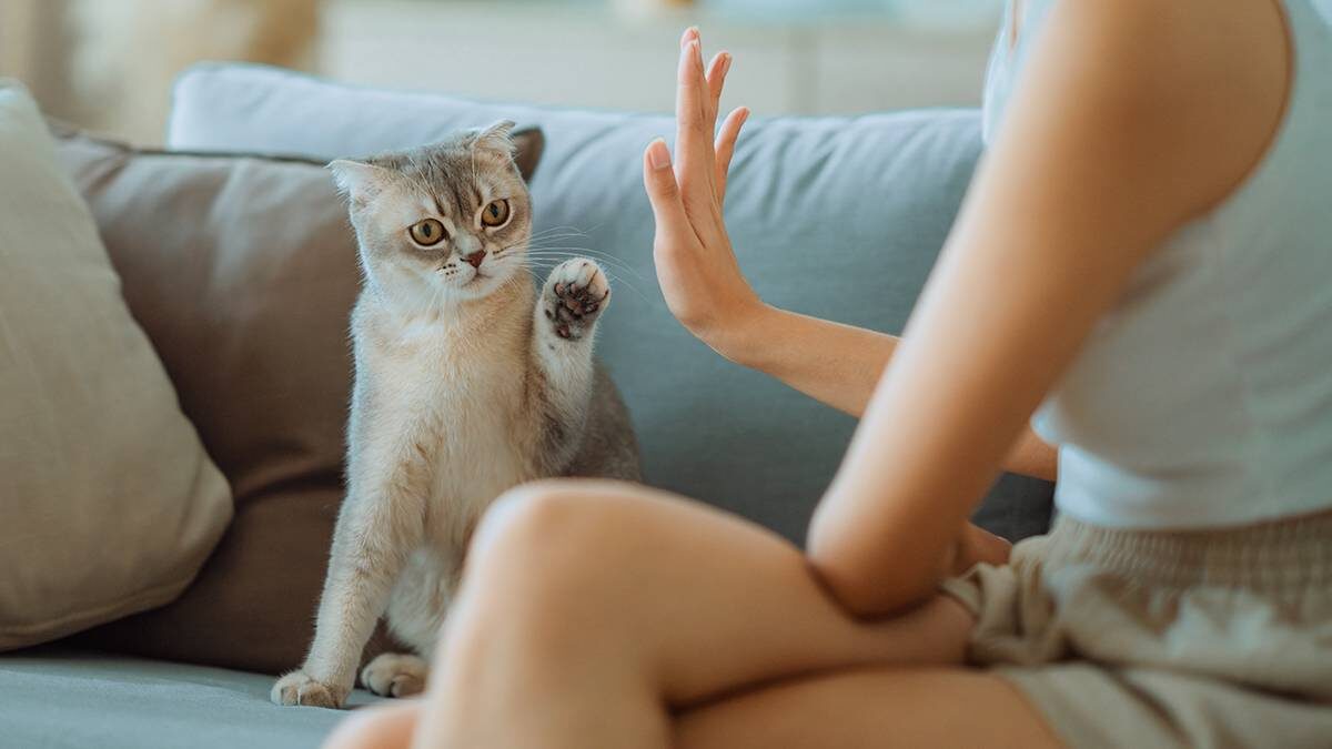    Фото: Shutterstock