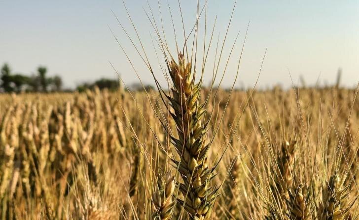    фото Курские известия