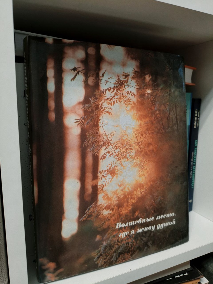 Мой пример красивой книги, которая закрывает разномастные корешки других книг 👍