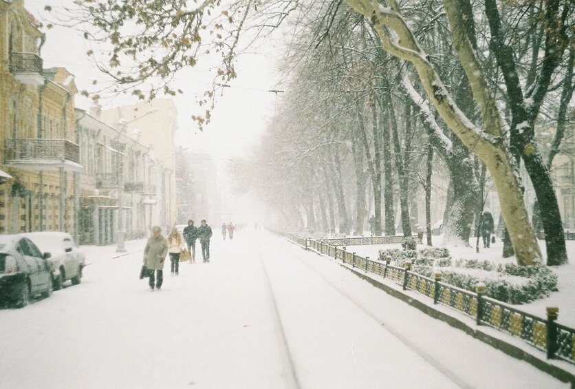    Фото: Открытый источник