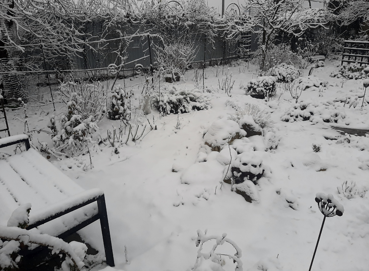 27 февраля 2026 года 2 фото