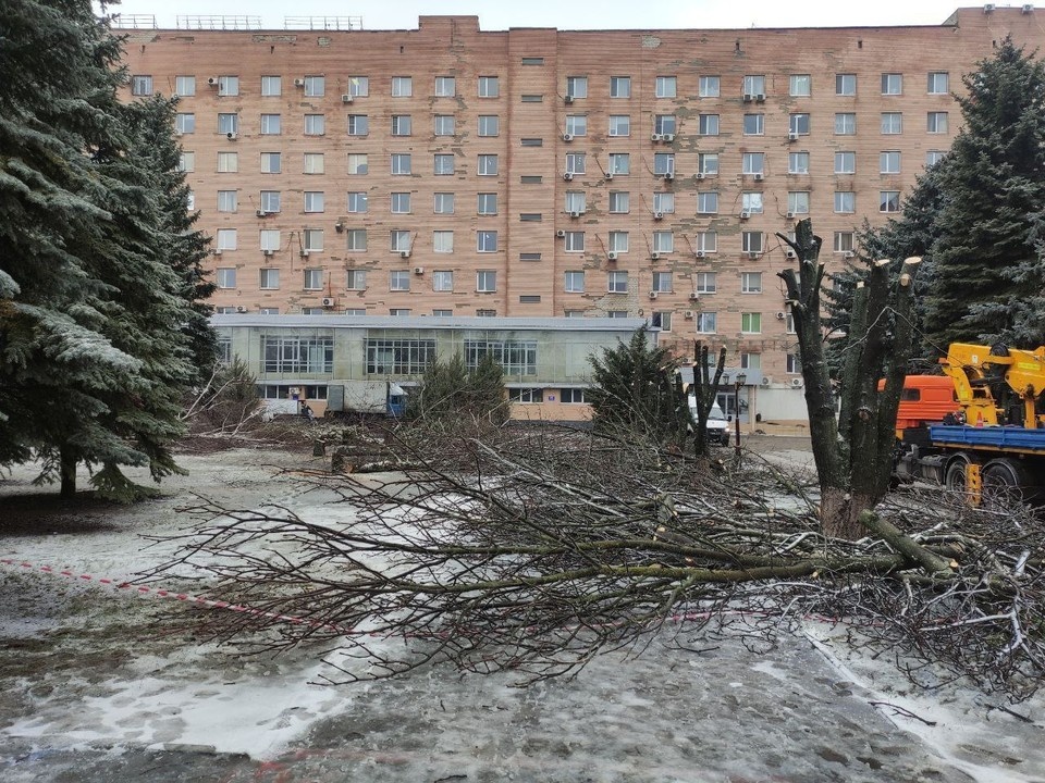    Фото: тг-канал Наталии Пащенко