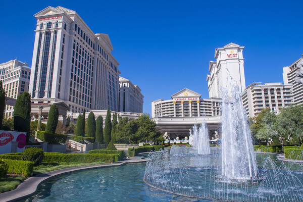 Kobby Dagan/Shutterstock/FOTODOM   📷