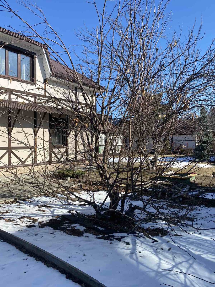 Фото Нины Щербаковой