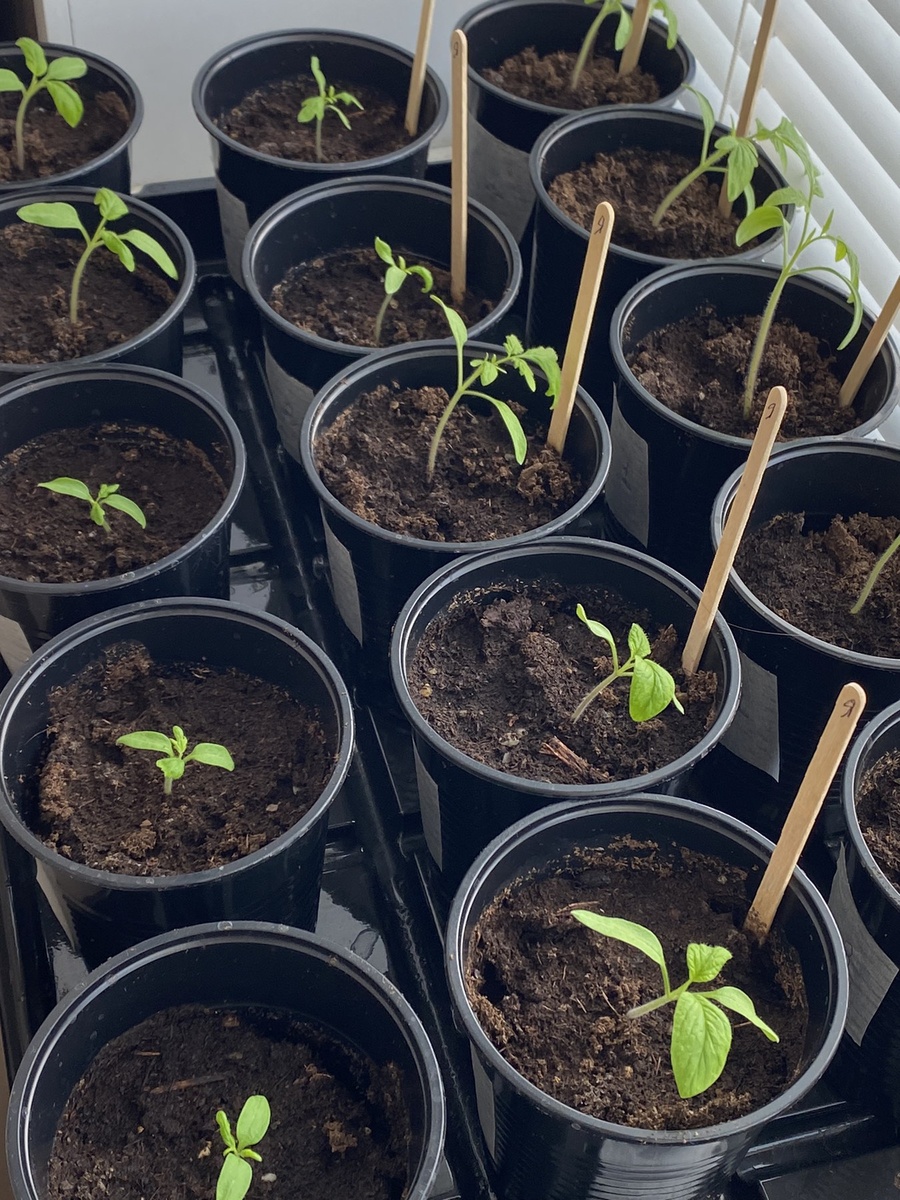 Фото Нины Щербаковой