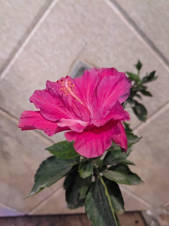 У нашего подъезда