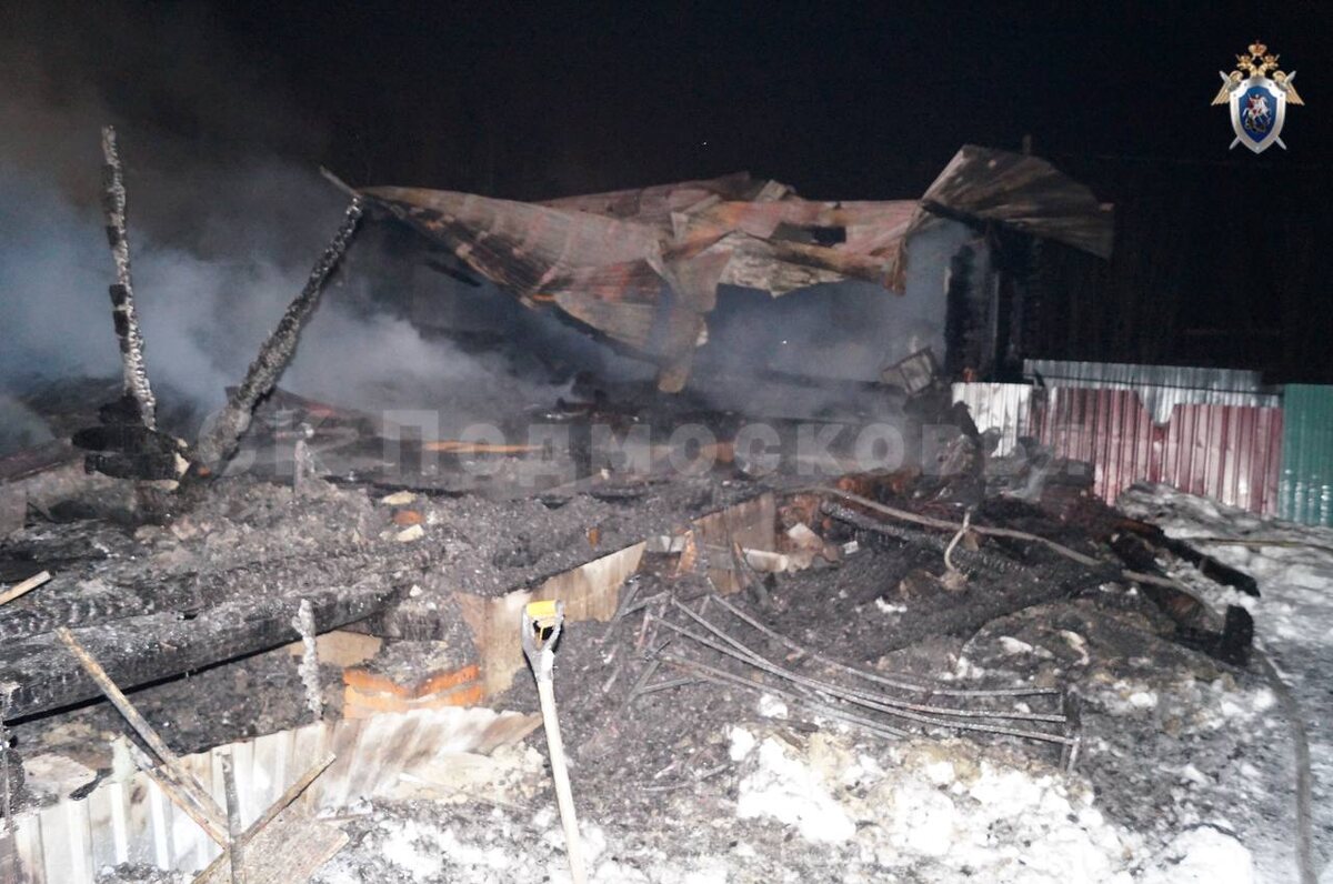    Пожар в Подмосковье