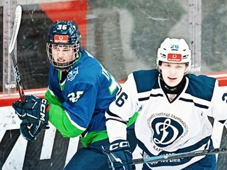     фото: © МХК «Динамо-Карелия» | VK