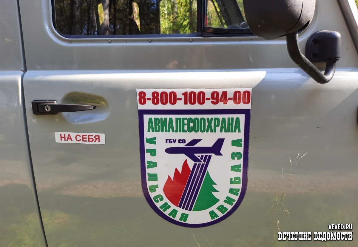     Фото: Владислав Постников / Вечерние Ведомости