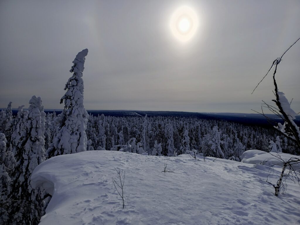    Фото: В курсе.ру