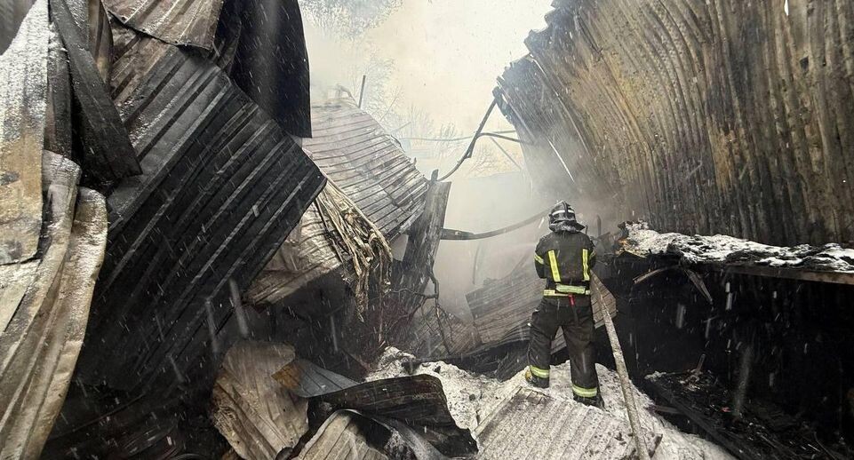    отдел надзорной деятельности и профилактической работы МЧС России по городскому округу Мытищи