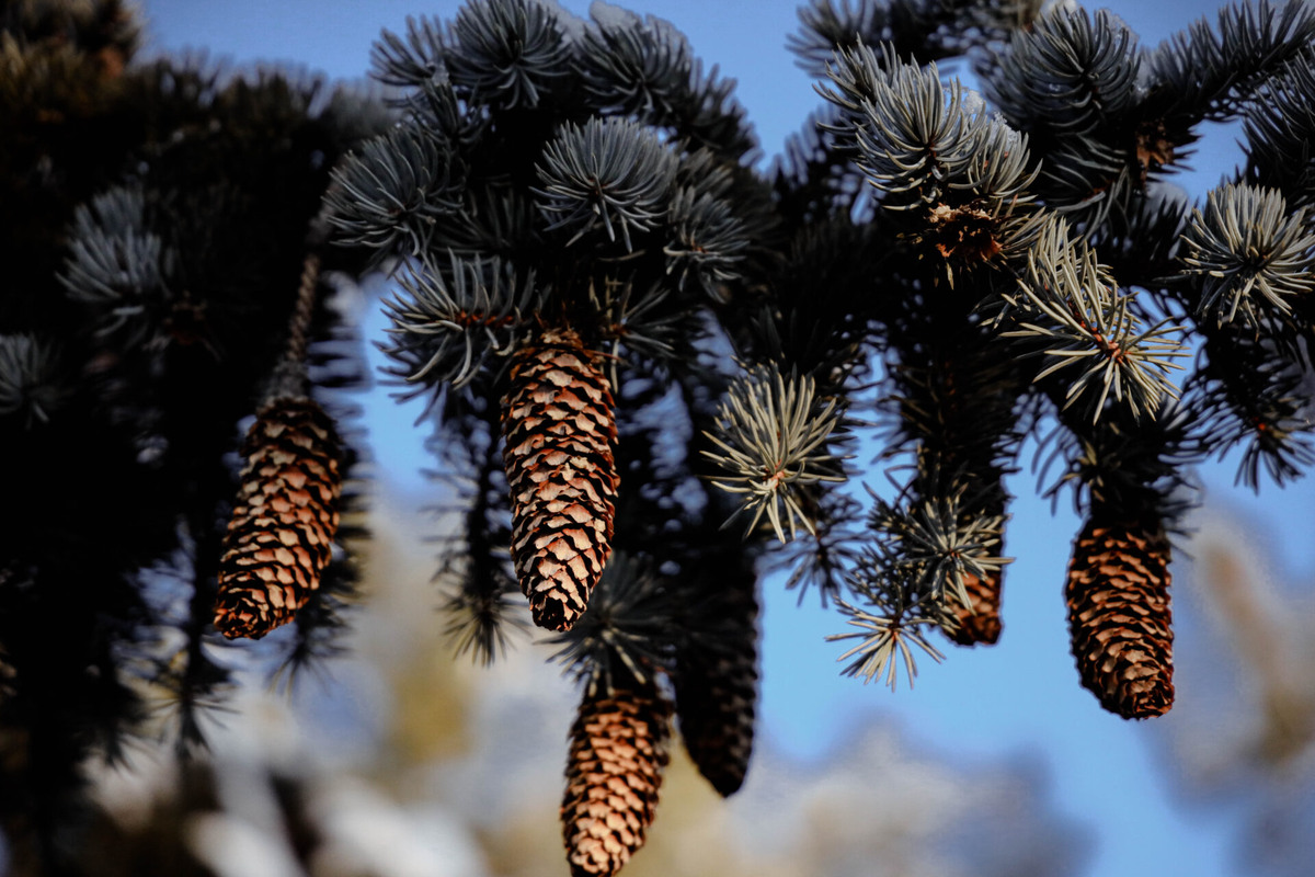    Фото: ТРК «Таврия»