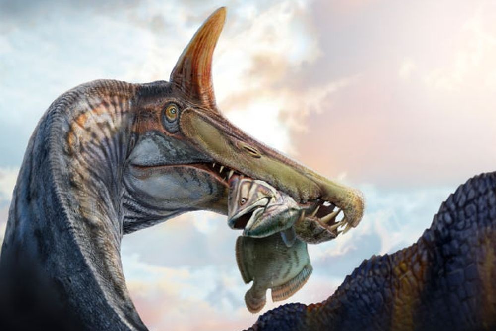    Dani Navarro, Sci News