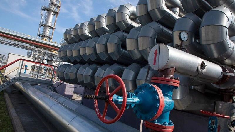    Фото: Alex Sobal/Shutterstock/Fotodom