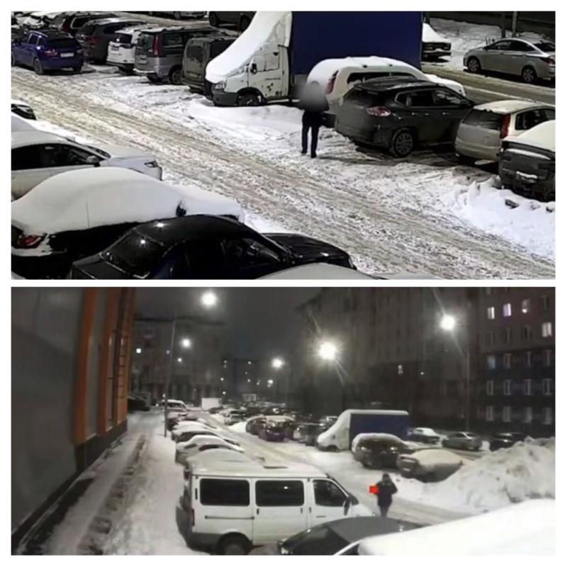    ФСБ заявила о предотвращении терактов в Петербурге и Подмосковье