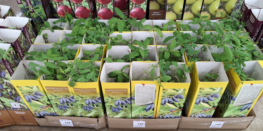 Кто-нибудь мне объяснит, зачем садовые центры из года в год делают одно и то же?