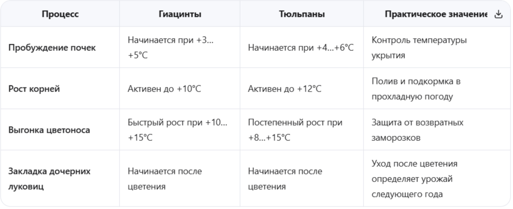 Физиологические процессы в луковицах ранней весной