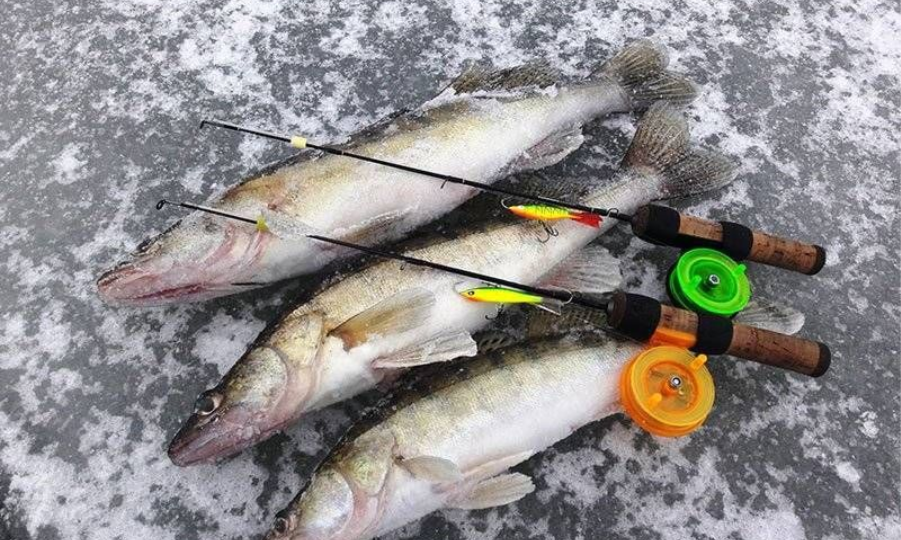 Зимние кивки: какие материалы лучше работают в мороз — пластик, металл или композит?