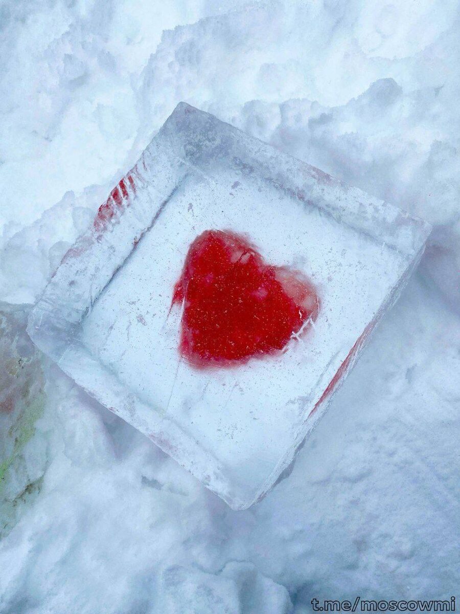 "То ли лезть на рожон, то ли лучше залечь на дно..."(с) t.me/moscowmi