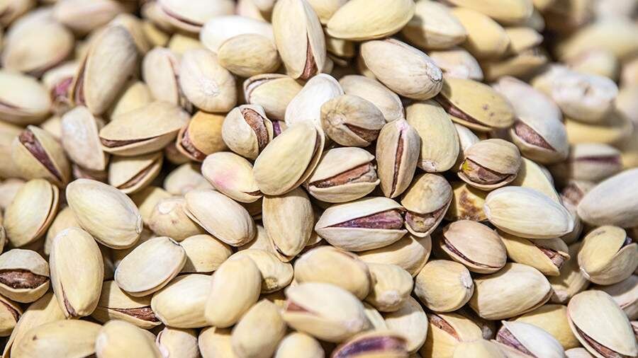    Фото: TASS/URA.RU/Илья Московец