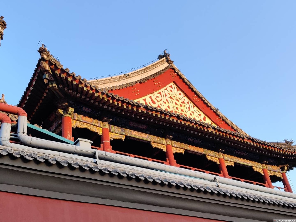     Китай   
Алексей Попов © ИА Красная Весна