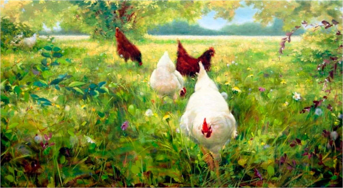 Курочки в саду