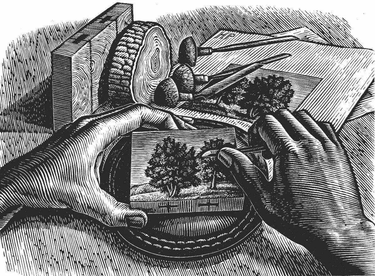 Фото из свободного доступа в Интернете