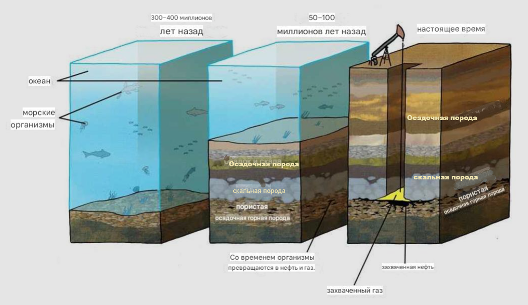 Единой теории происхождения нефти нет до сих пор. Ясно одно: чтобы органика стала углеводородами, нужно попасть в «нефтяное окно» — зону нужных температур и давлений. Классический сценарий требует миллионов лет («зрелая» нефть). Но природа умеет ускорять процессы — так рождается «молодая» нефть, которую находят даже в вулканах.