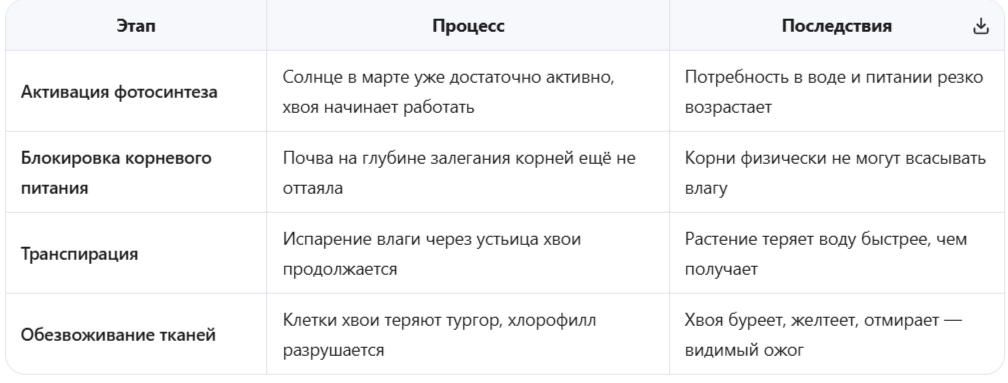 Механизм возникновения солнечных ожогов