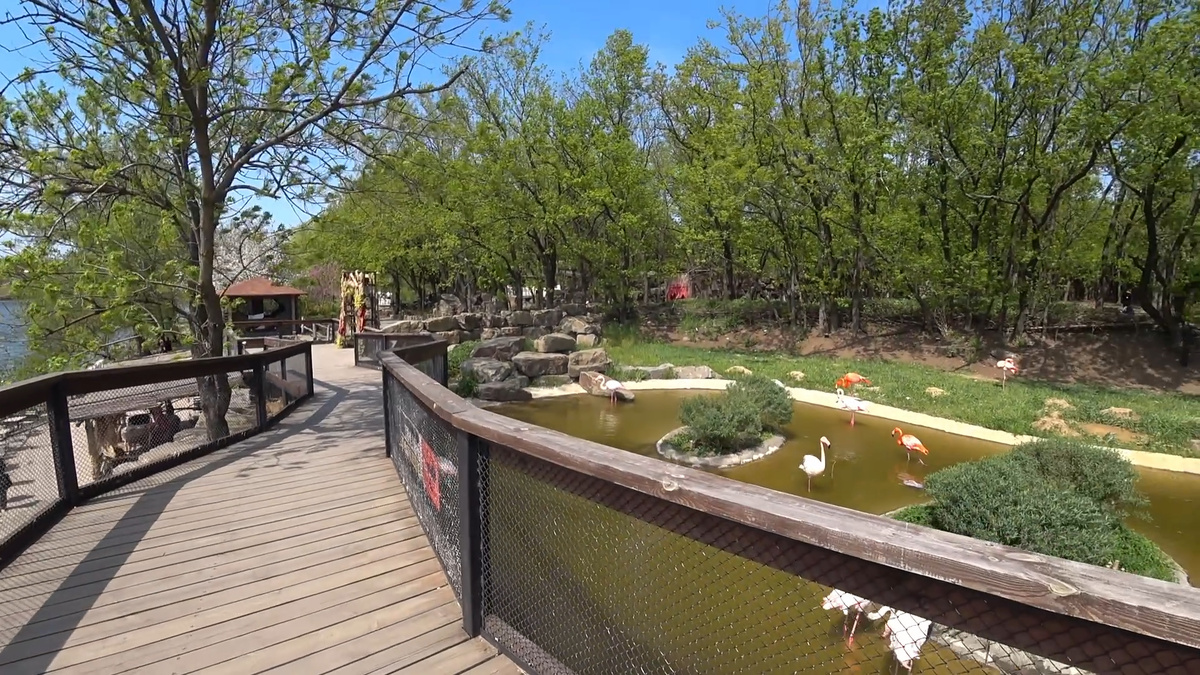 Авиарий с фламинго в парке Малинки