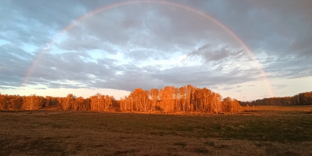 На тему монетного звона и бесконечного пути в поисках клада