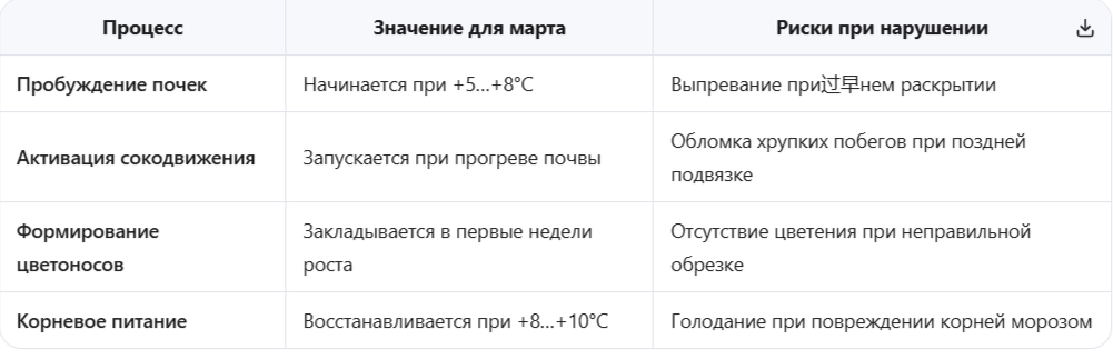 Физиологические процессы в клематисе ранней весной