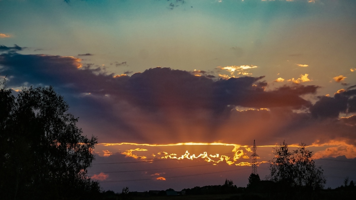 Светлана Мулыкина📷
