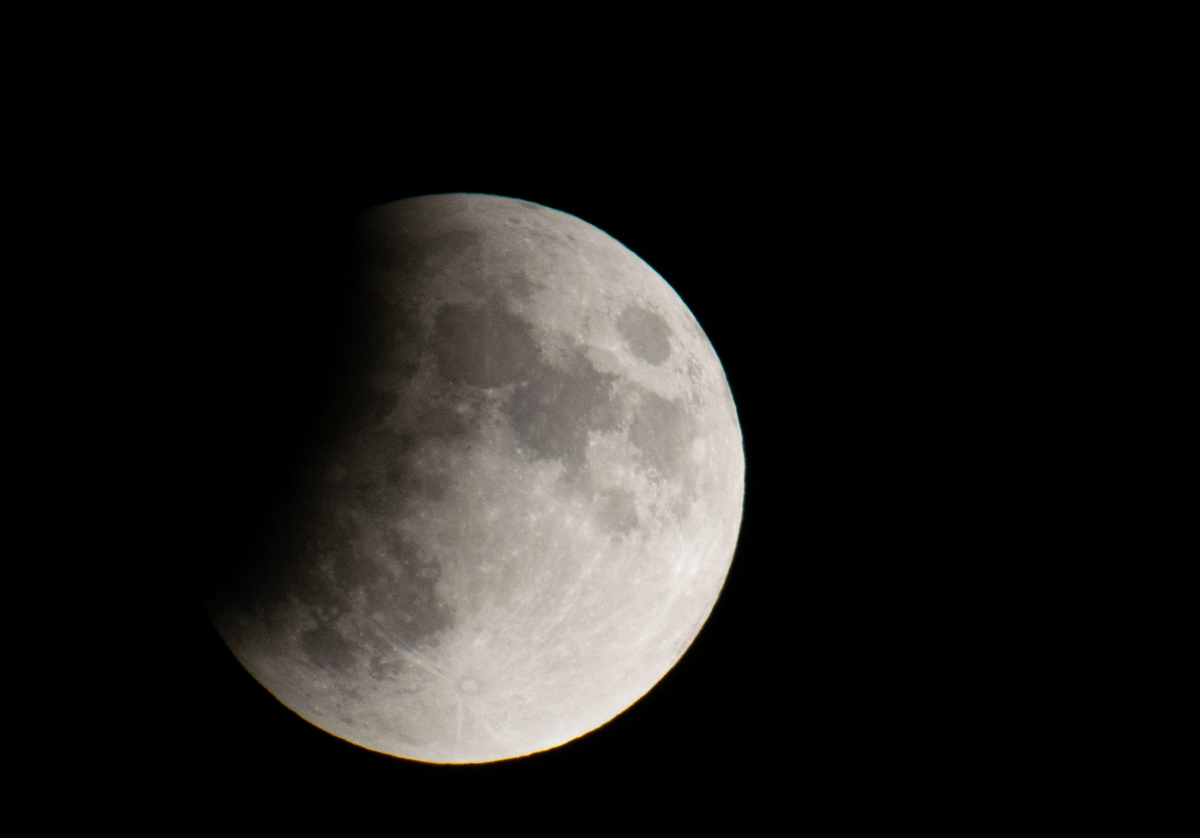 Matjaž Mirt/wikimedia/Creative Commons Attribution 2.0 Generic 