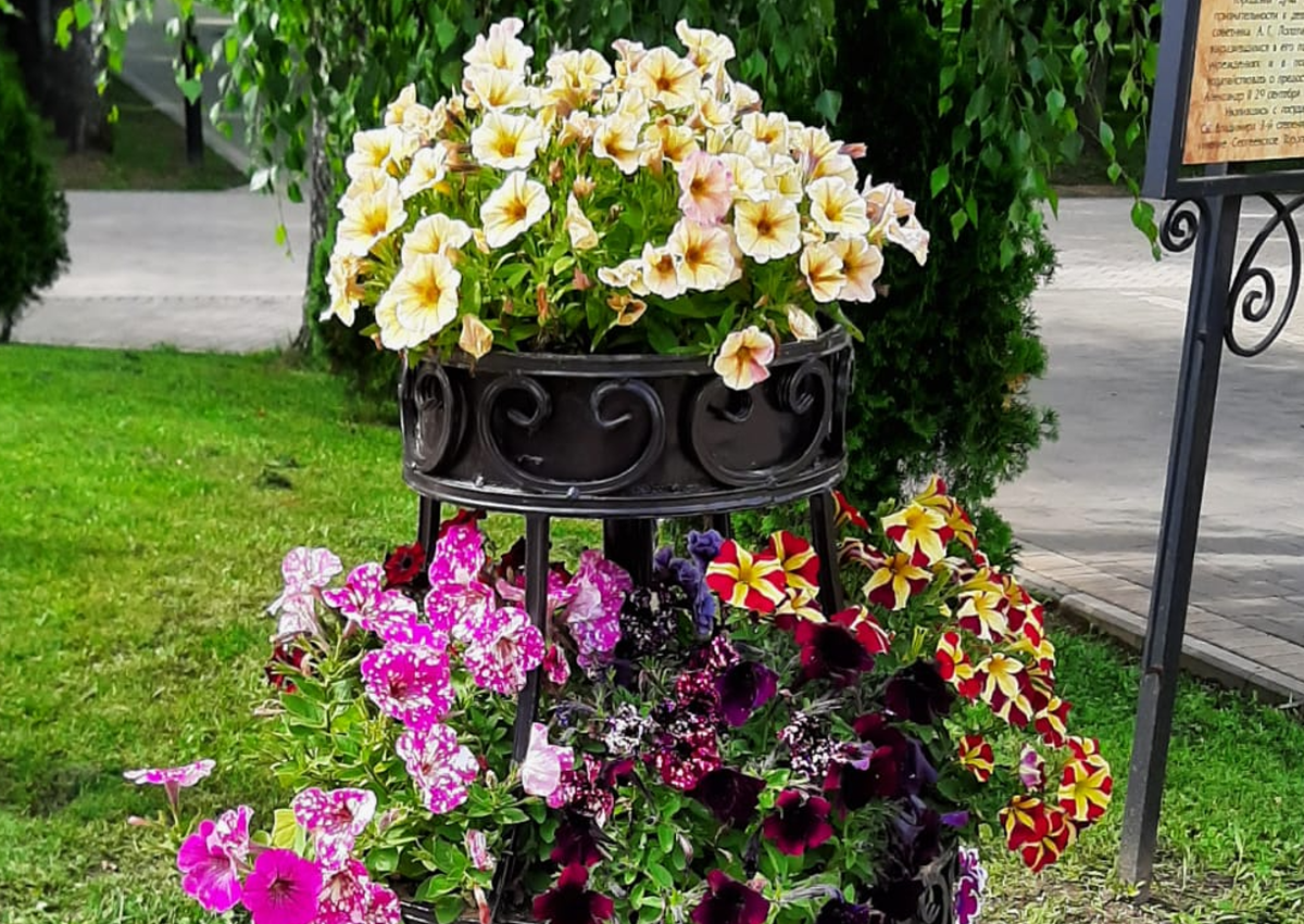 Немного лета для вдохновения