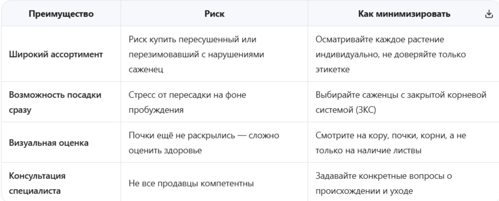 Преимущества и риски весенней покупки