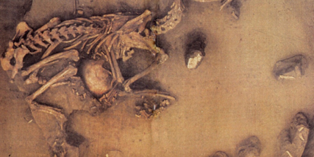 Волк с человеческим черепом: тайны Глазковского некрополя в центре Иркутска